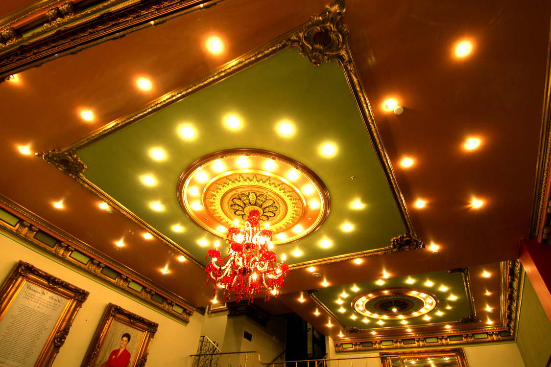 Anita's Theatre Ceiling Heritage Restoration